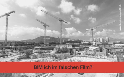 BIM ich im falschen Film?