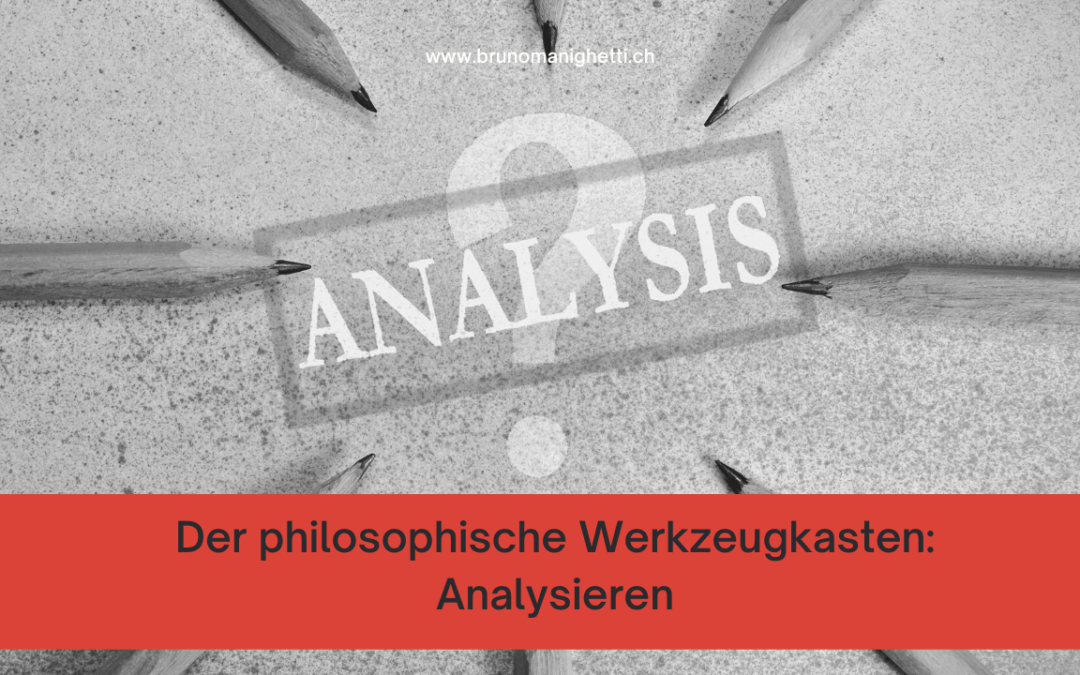 Der philosophische Werkzeugkasten_Analysieren